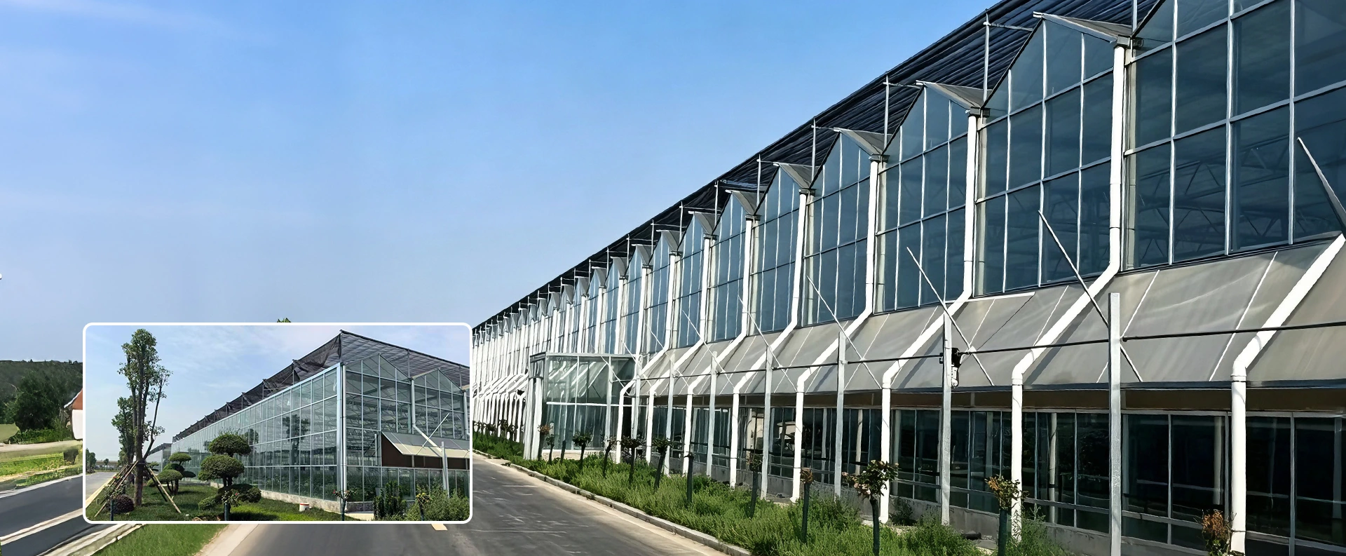 中国マルチスパン温室工場