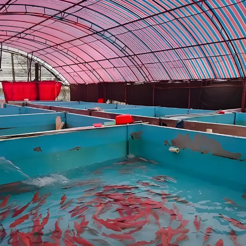 養殖小屋