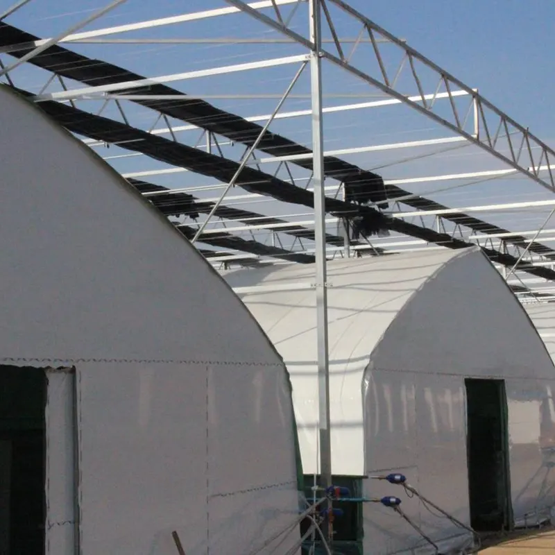 Arch-Round Heat Storage Solar Greenhouse