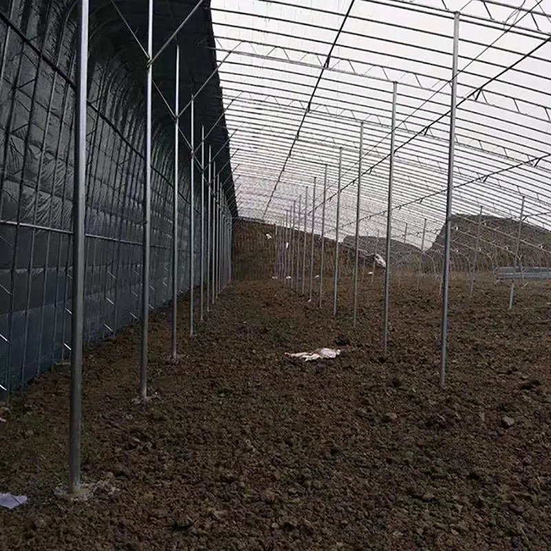 Prefabricated All-Steel Single-Slope Solar Greenhouse