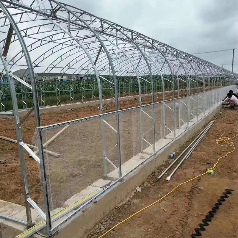 Prefabricated Double-Film Arch Solar Greenhouse