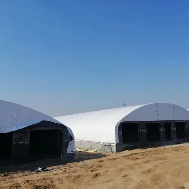 Beef Cattle Breeding Shed