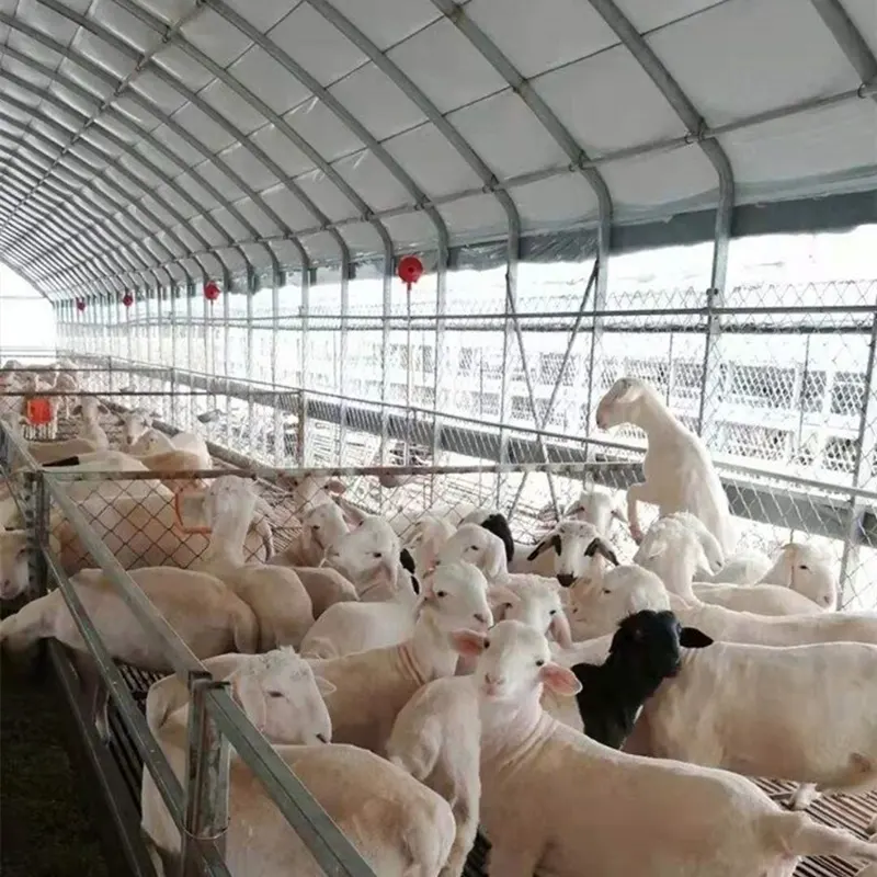 家畜および家禽の飼育舎