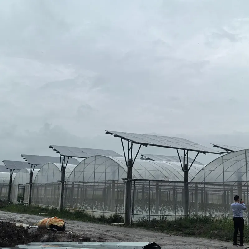 太陽光発電屋根付き連棟温室