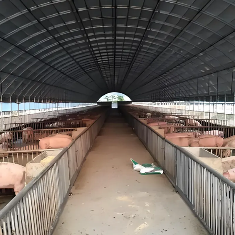 豚飼育舎